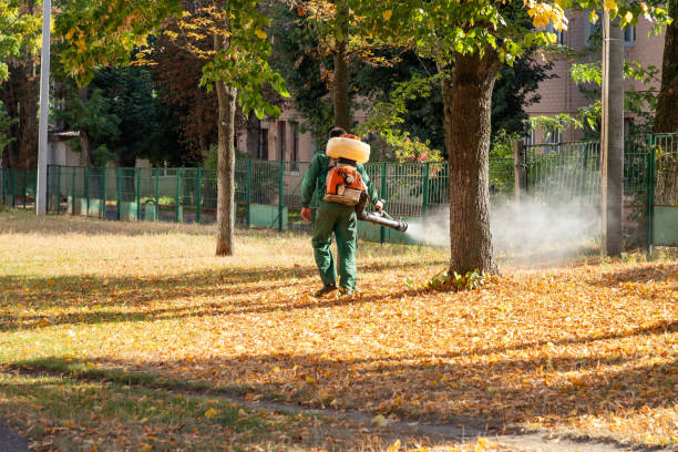 Best Emergency Pest Control  in El Verano, CA