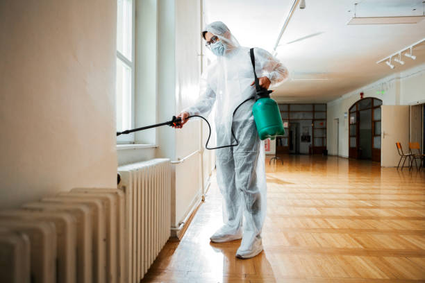  El Verano, CA Pest Control Pros